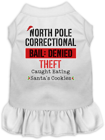 North Pole Correctional Screen Print Dog Dress White Size XS