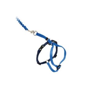 Kitty Harness Bungee Leash Combo Royal Blue/Navy